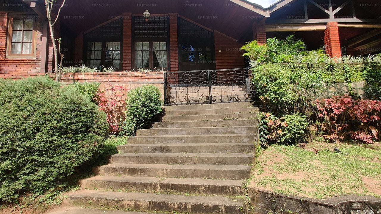 Homes Bungalow by Tree of Life, Kandy