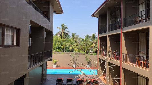 Waves By Tranquil, Kochchikade