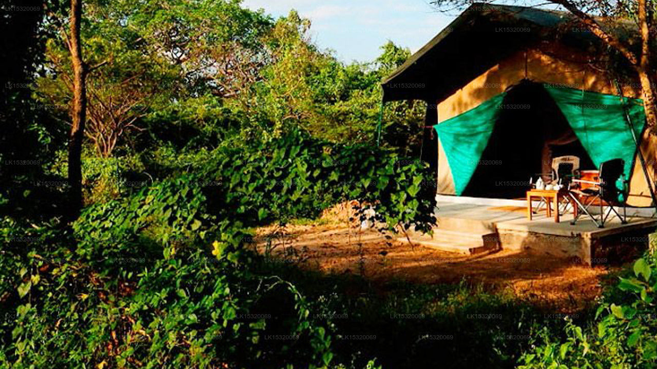 Ceylon Wilpattu Safaris & Lodging