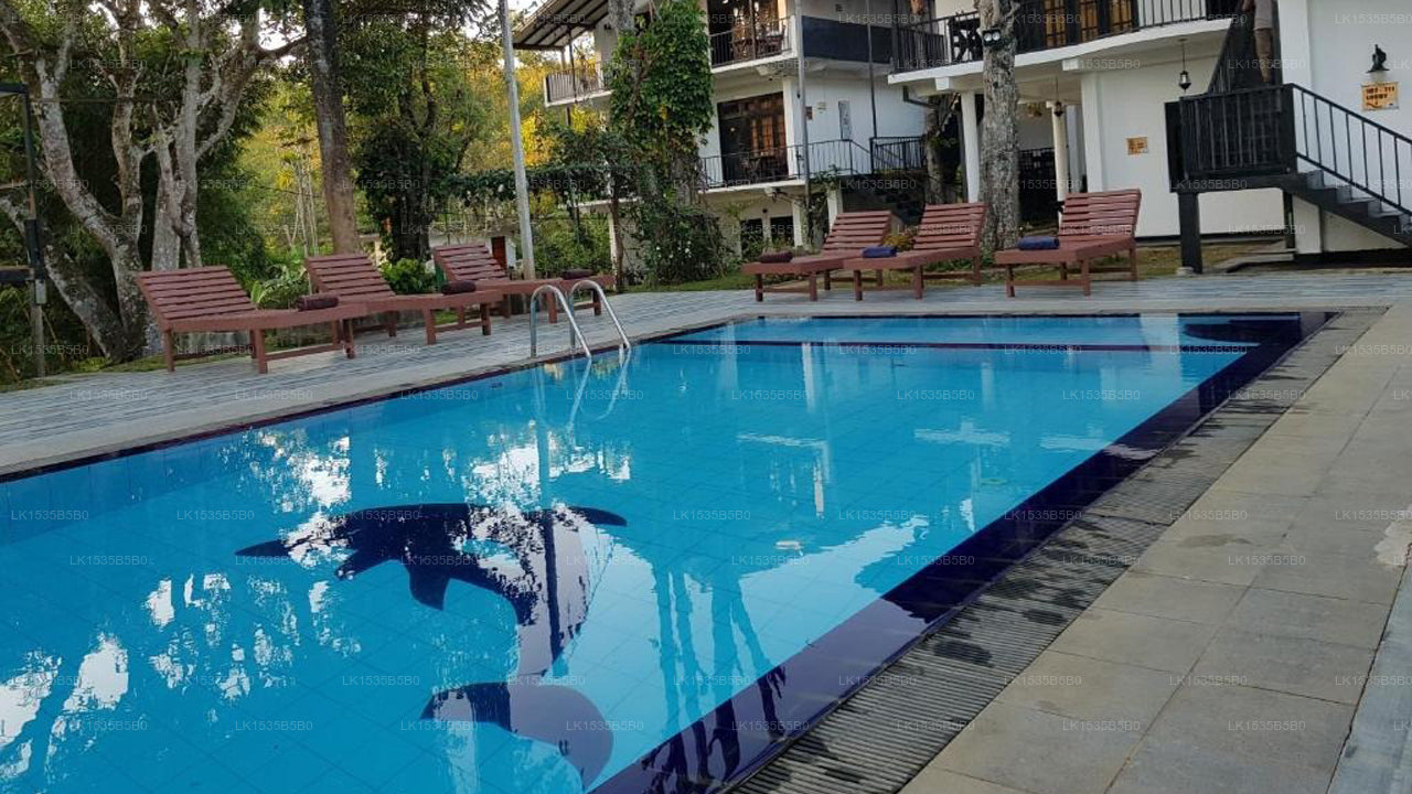 Ella Forest Paradise Hotel