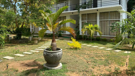 Sapphire Garden Hotel, Habarana