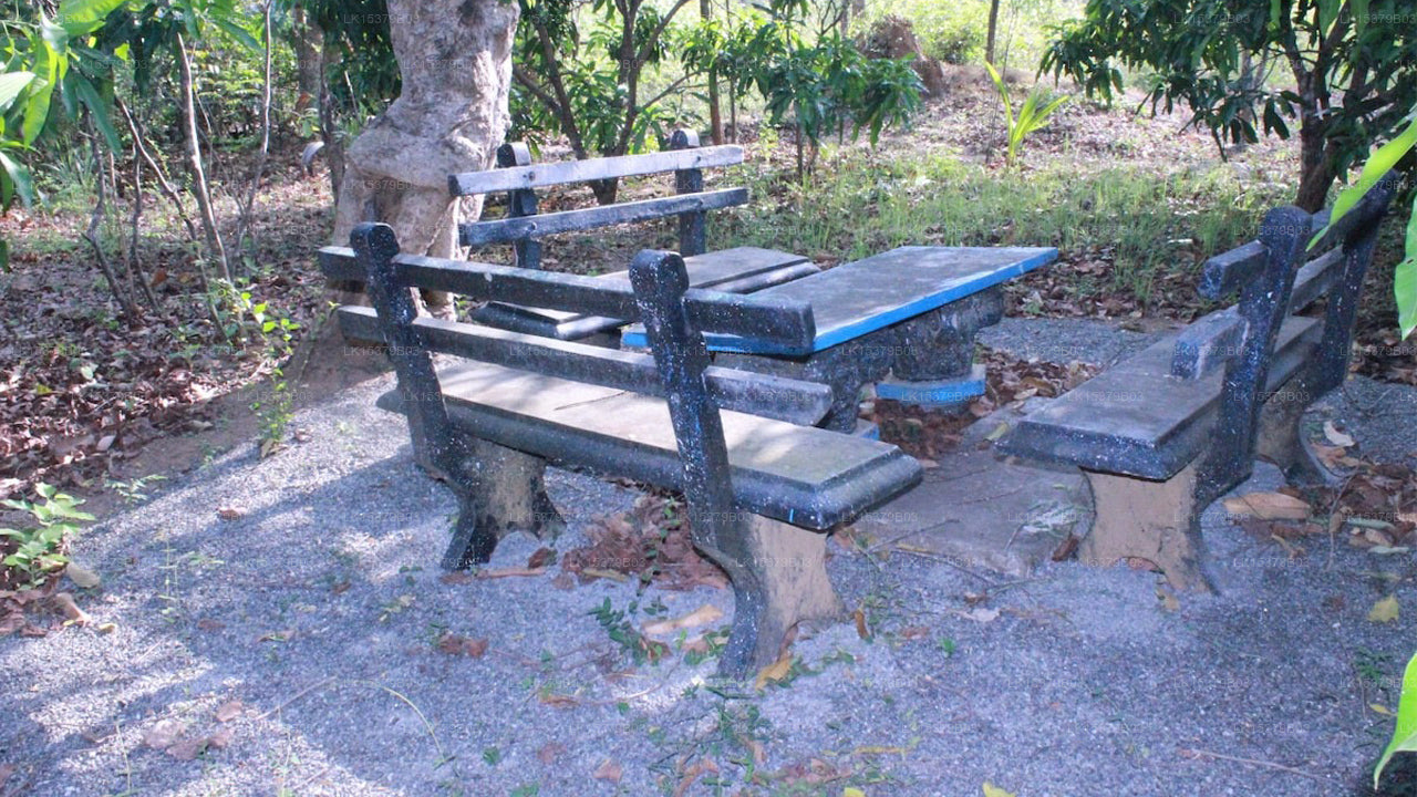 Abawaththa Guest House, Habarana