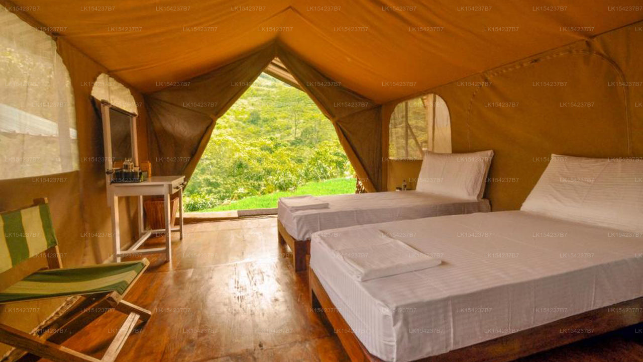 Wild Glamping Knuckles