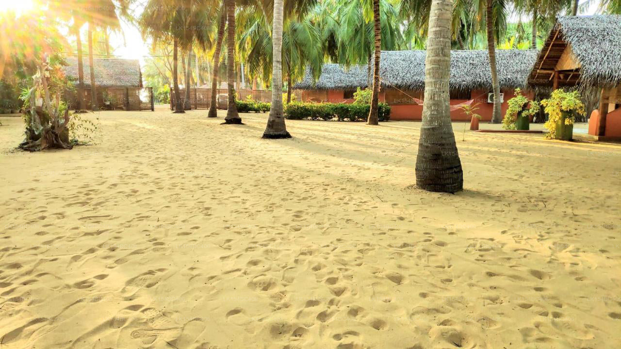 Roshanne Beach Resort, Kalpitiya