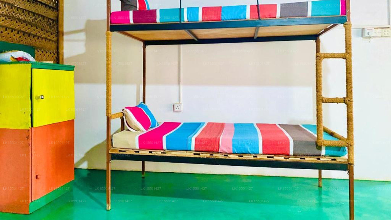 Reggae paradise hostel, Sigiriya