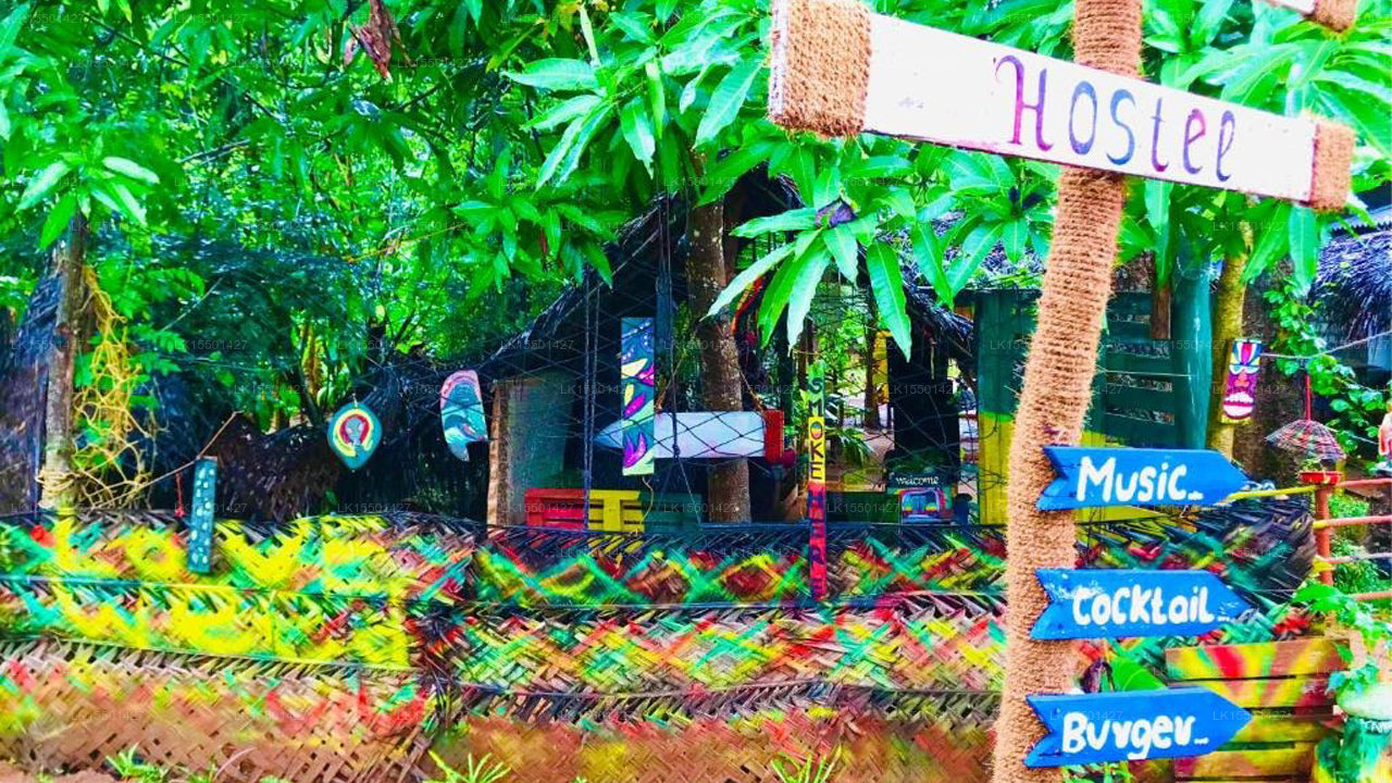 Reggae paradise hostel, Sigiriya