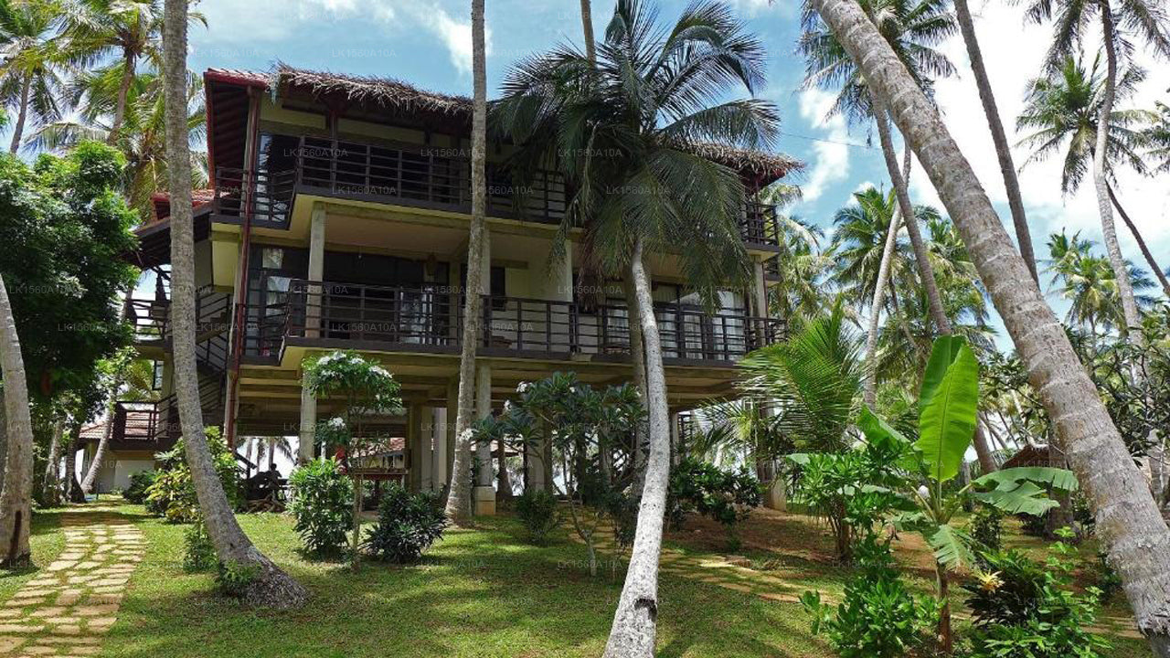 Seven Turtles, tangalla