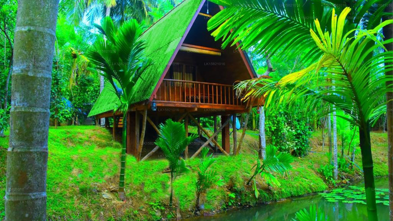 Wild Lake Side Holiday Resort, Udawalawe