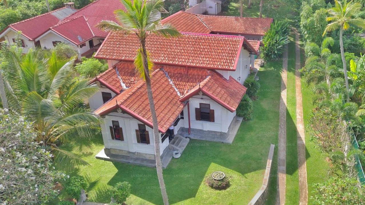 Arvani, Tangalle