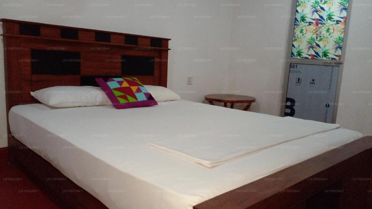 pidurangala Tree House Hostel Sigiriya