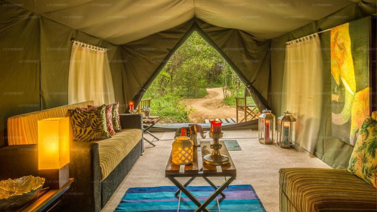 Mahoora Safari Camping, Yala