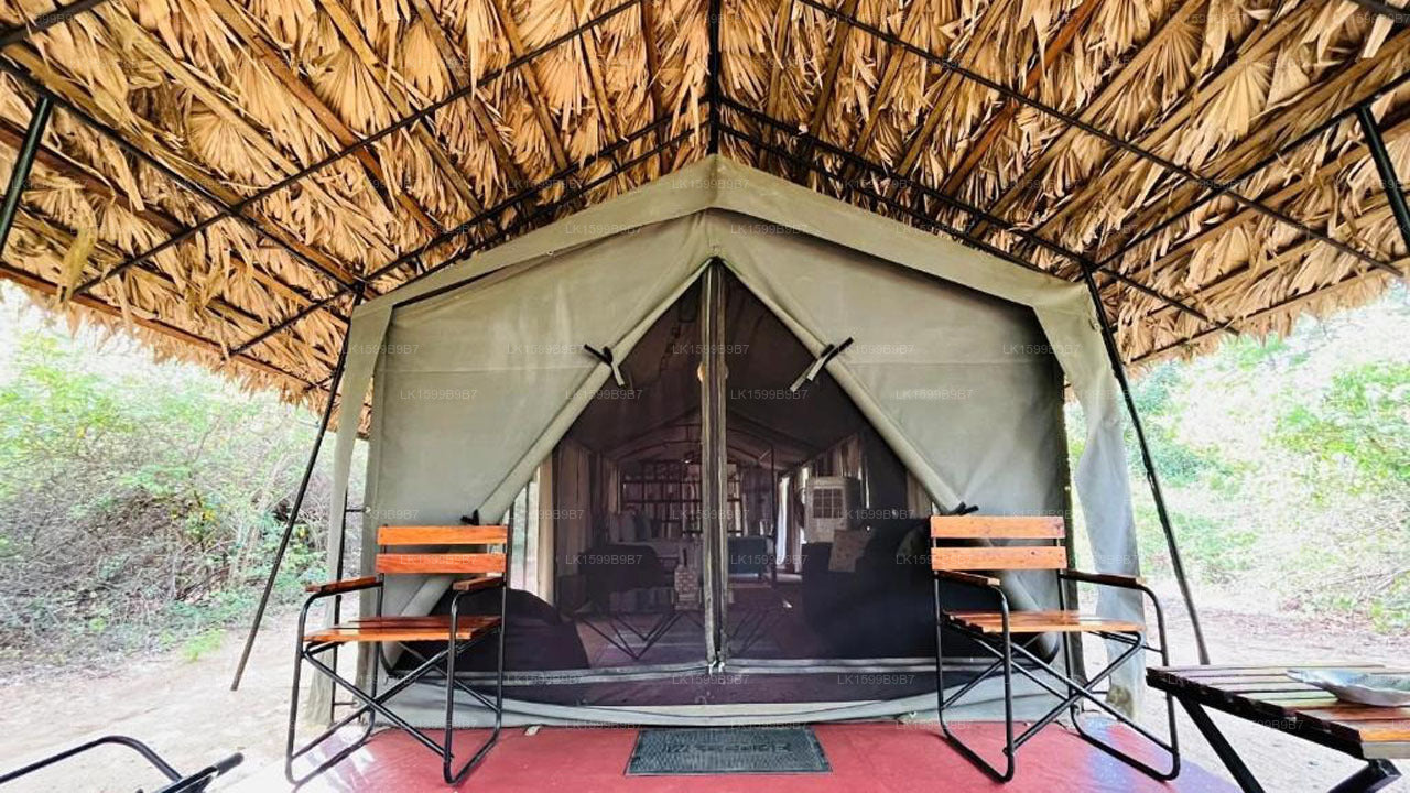 Mahoora Safari Camping, Yala