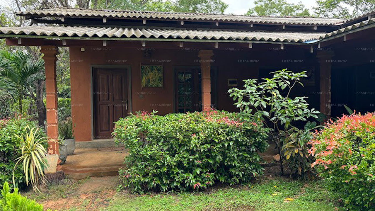 Jaye Eco Lodge, Habarana