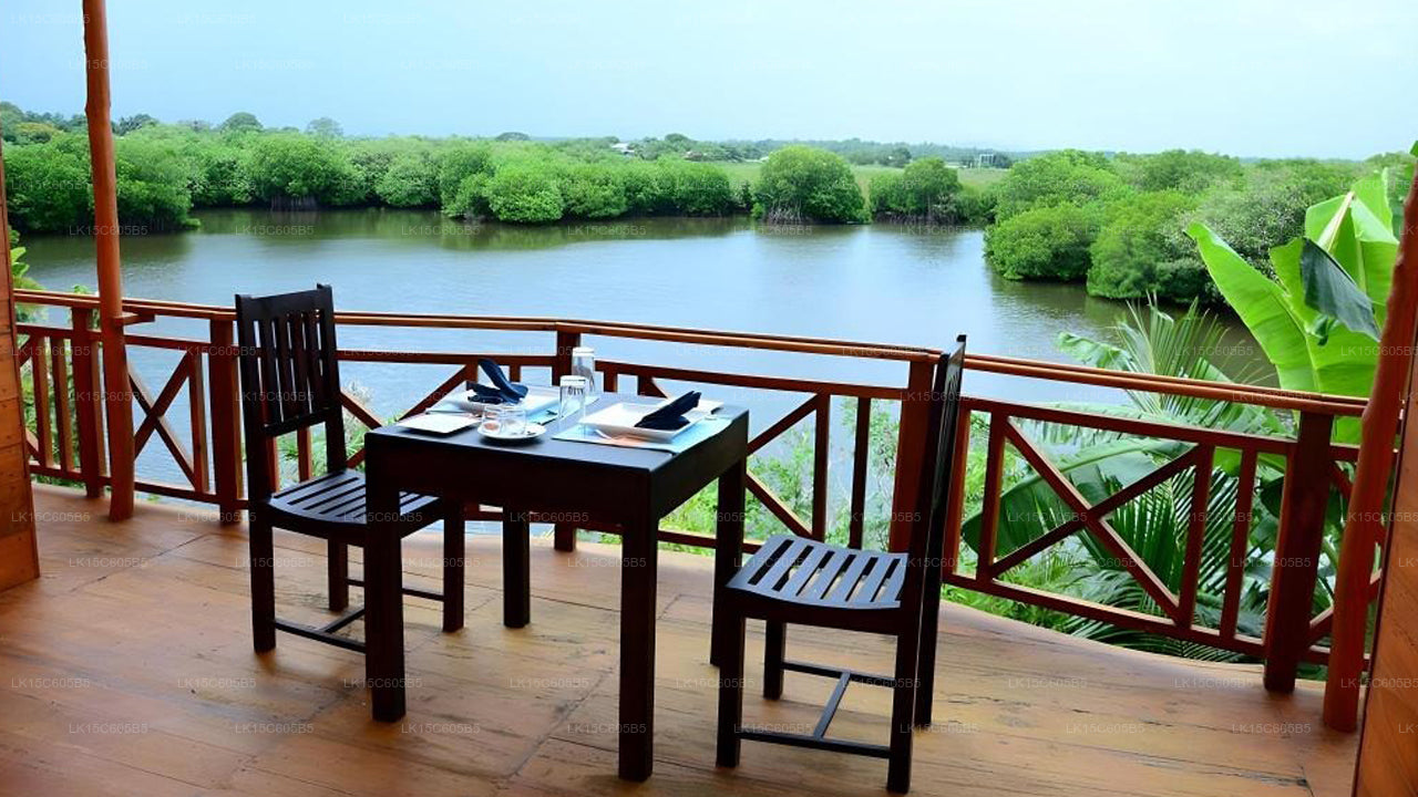 Peacock Land, Tangalle