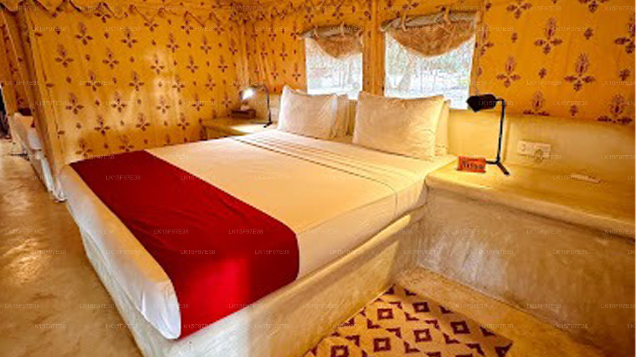 Dancing Dolphin, kalpitiya