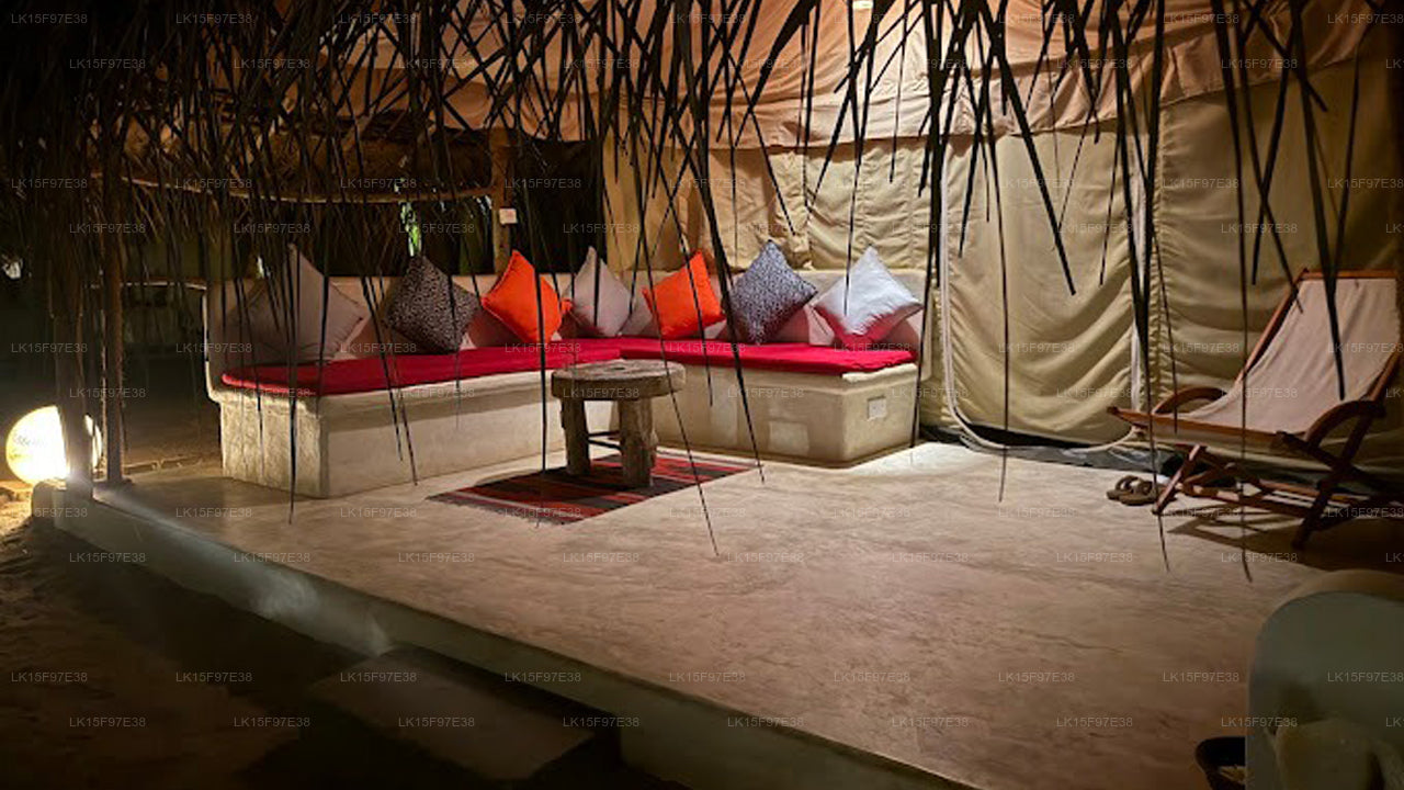 Dancing Dolphin, kalpitiya