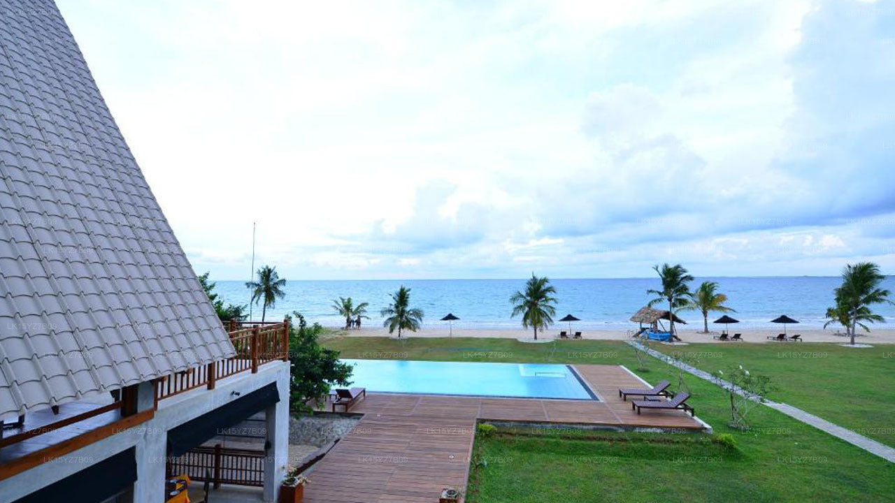 Laya Waves, Pacífico