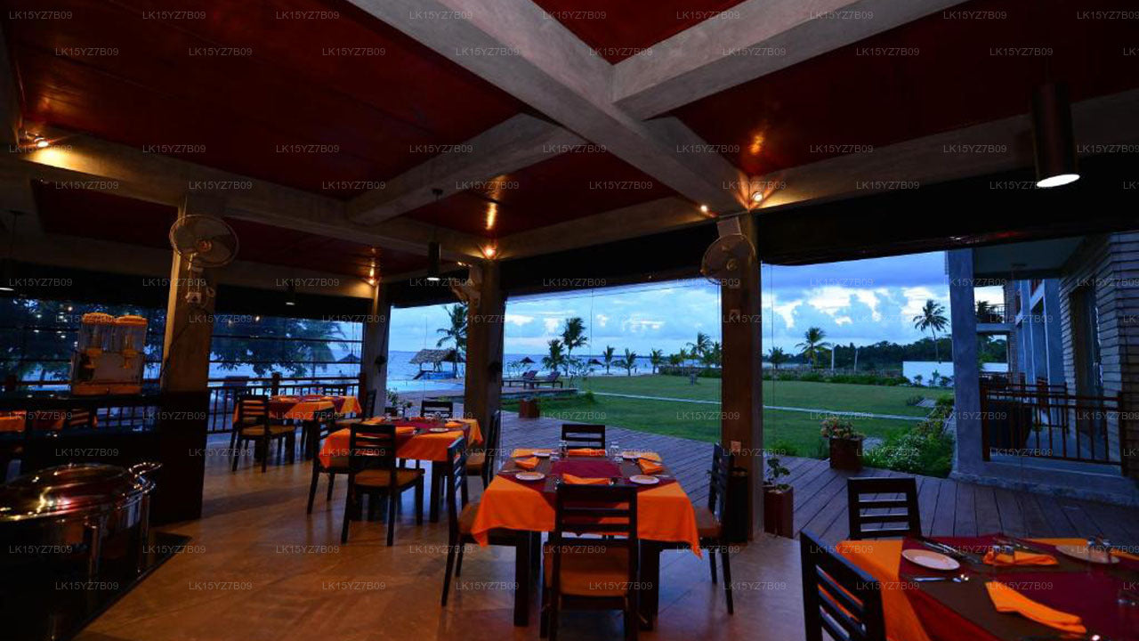 Laya Waves, Pacífico