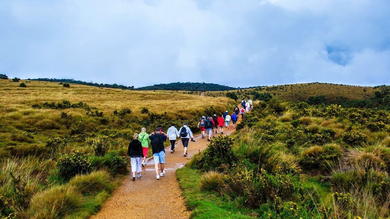 Visita guiada al Parque Nacional Horton Plains con entradas incluidas.