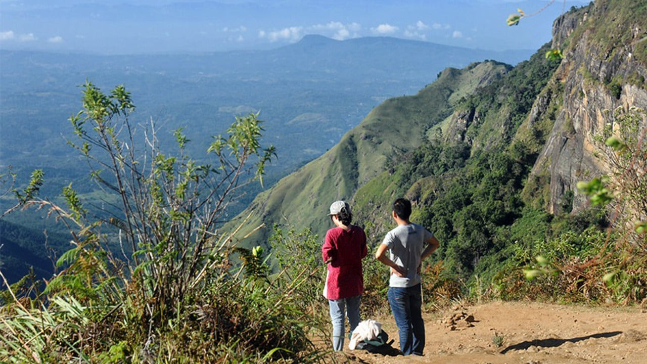 Visita guiada al Parque Nacional Horton Plains con entradas incluidas.