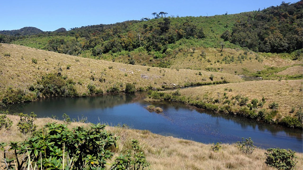 Visita guiada al Parque Nacional Horton Plains con entradas incluidas.