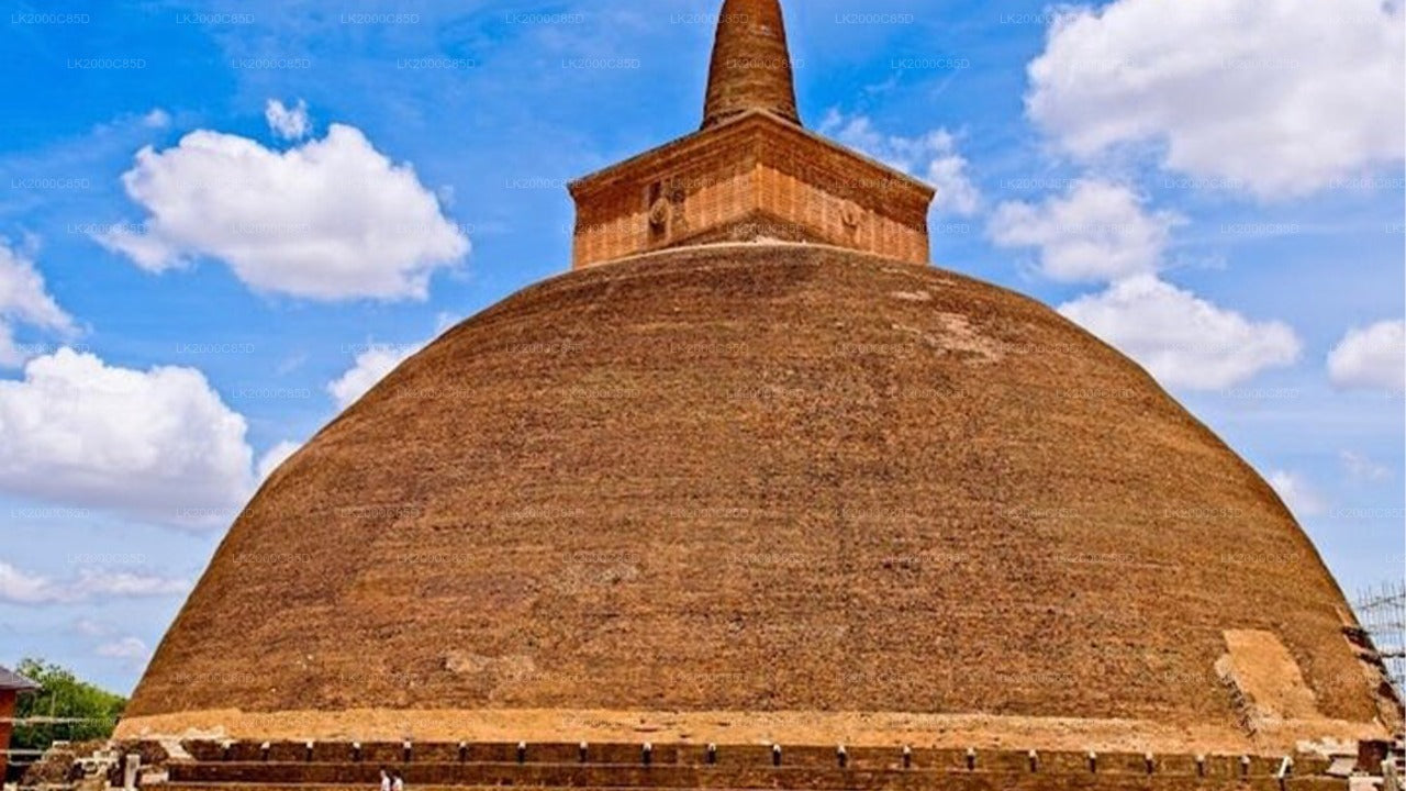Visita guiada al área sagrada de Anuradhapura con entradas incluidas.