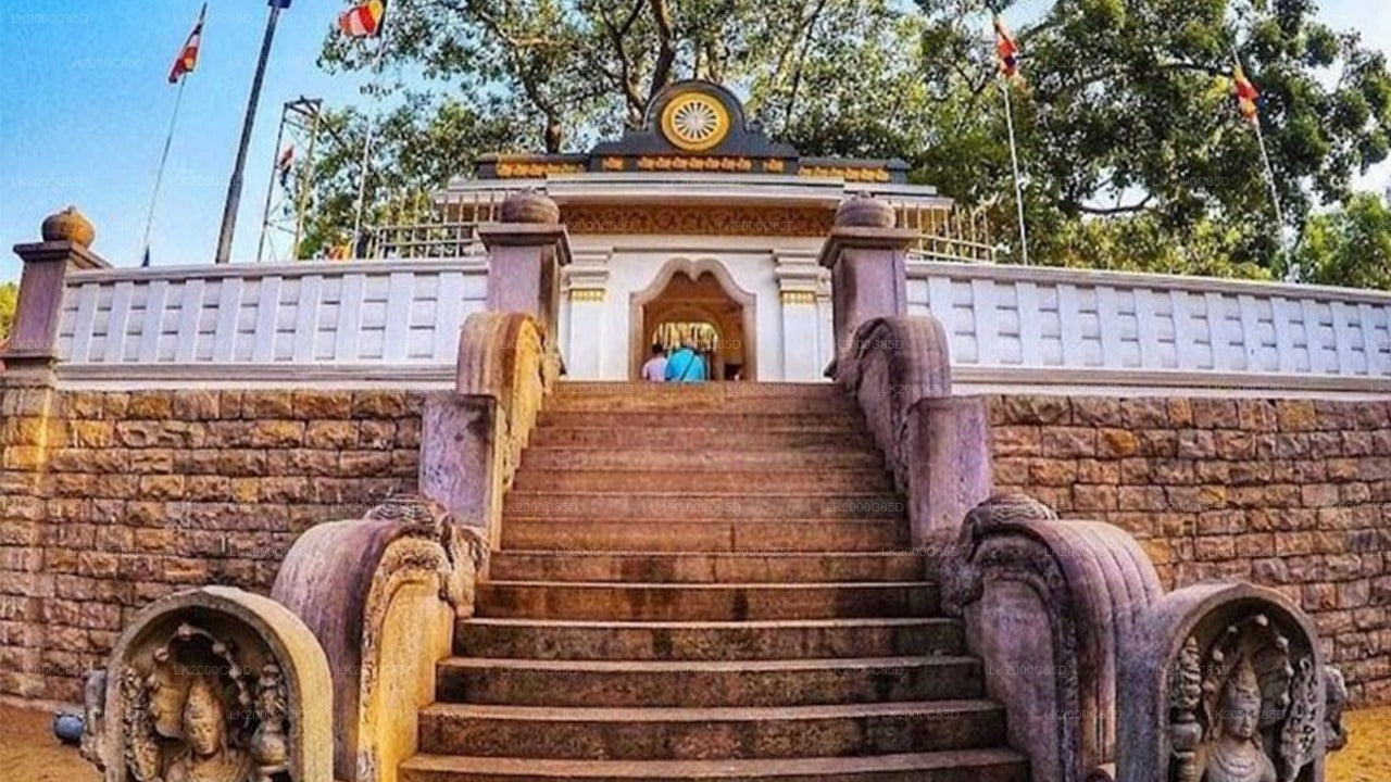 Visita guiada al área sagrada de Anuradhapura con entradas incluidas.