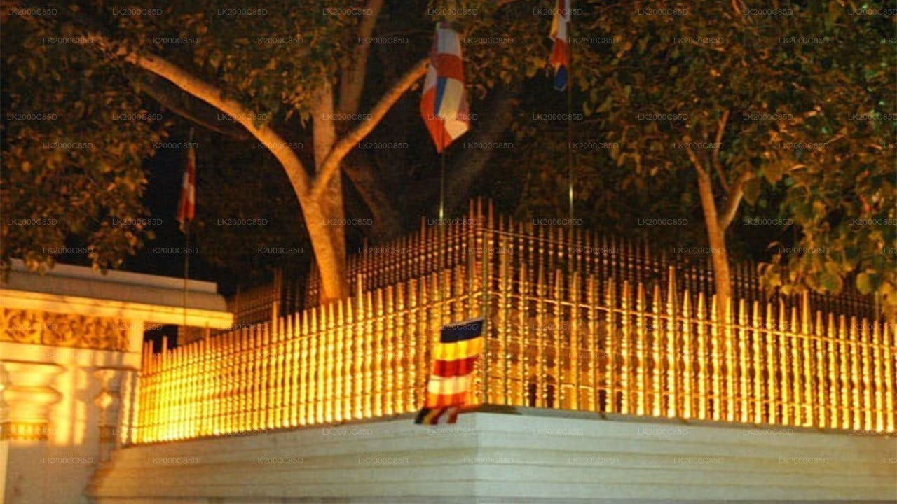 Visita guiada al área sagrada de Anuradhapura con entradas incluidas.
