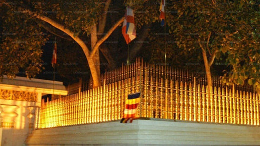 Visita guiada al área sagrada de Anuradhapura con entradas incluidas.