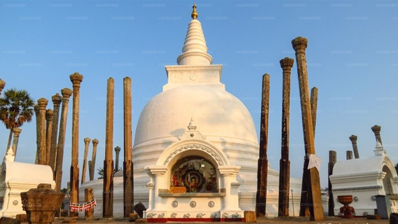 Visita guiada al área sagrada de Anuradhapura con entradas incluidas.