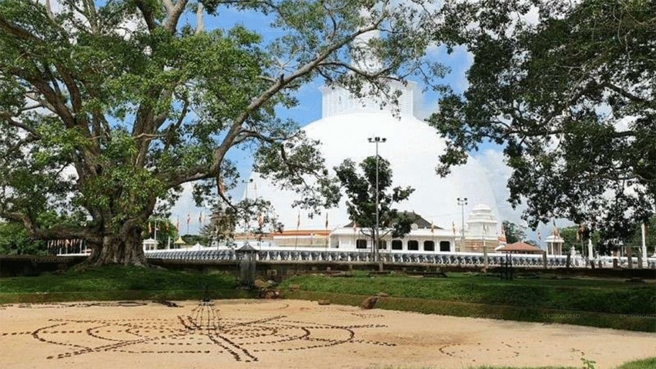 Visita guiada al área sagrada de Anuradhapura con entradas incluidas.