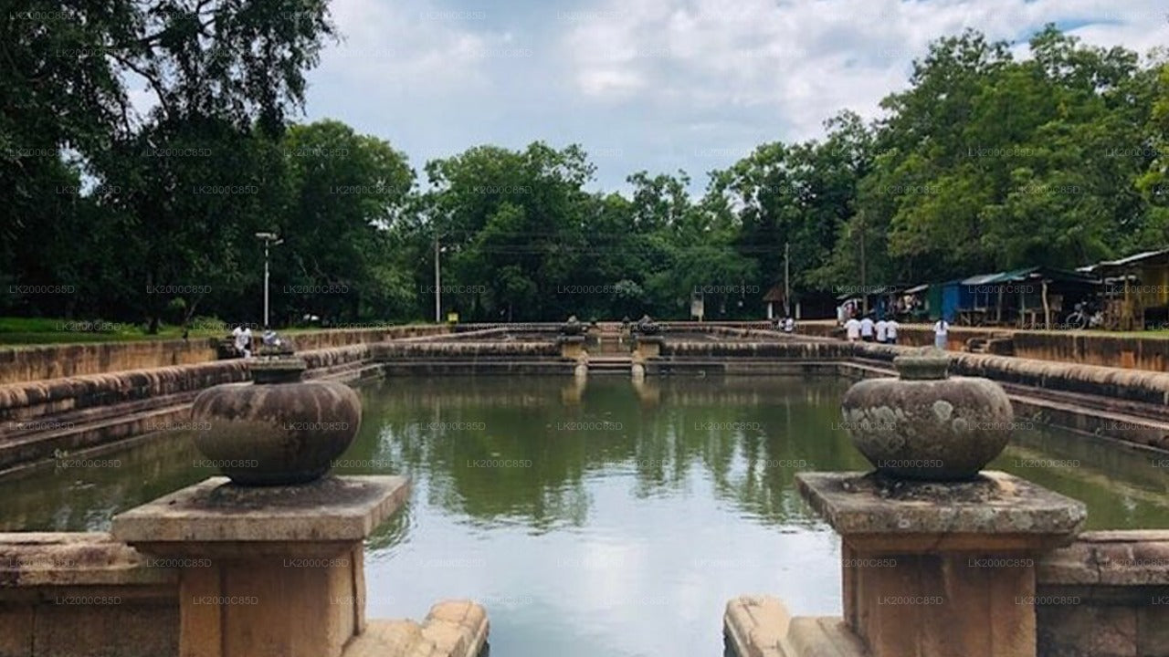 Visita guiada al área sagrada de Anuradhapura con entradas incluidas.