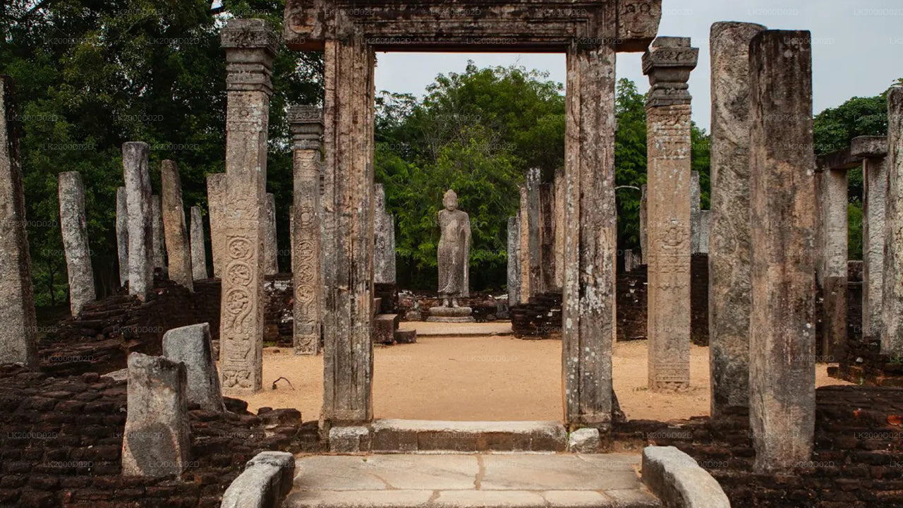 Visita guiada a la ciudad antigua de Polonnaruwa con entradas