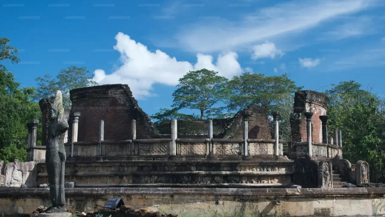 Visita guiada a la ciudad antigua de Polonnaruwa con entradas
