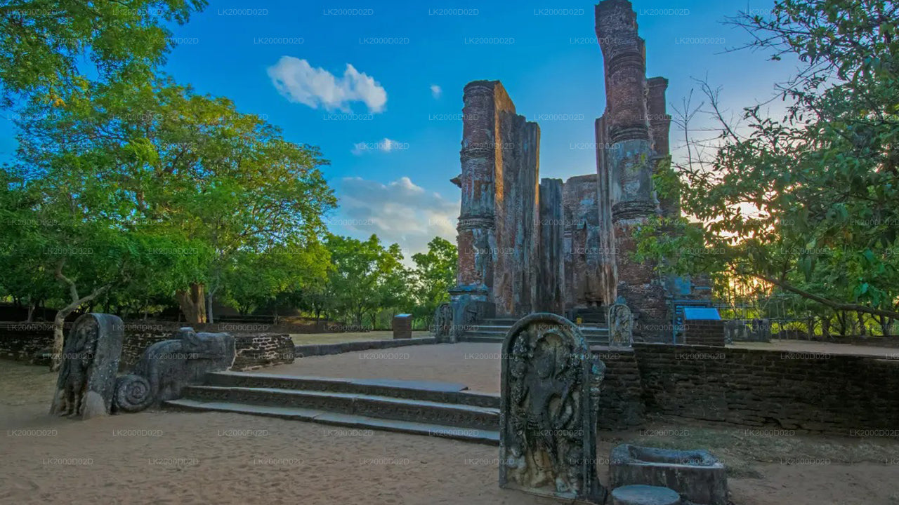 Visita guiada a la ciudad antigua de Polonnaruwa con entradas
