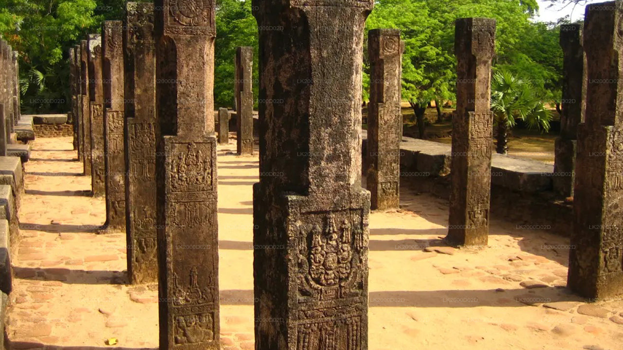 Visita guiada a la ciudad antigua de Polonnaruwa con entradas