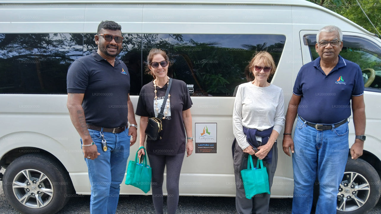 Alquiler de furgoneta con chófer (grande)