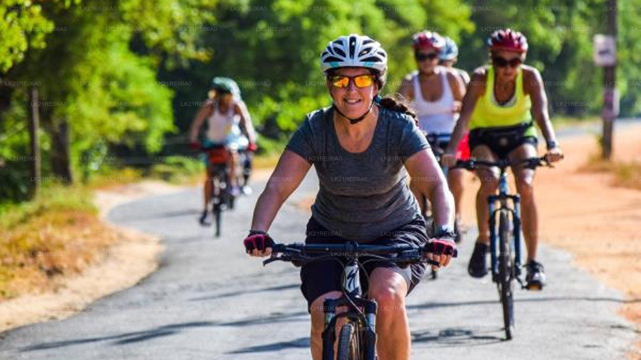 Alquiler de bicicletas desde Galle