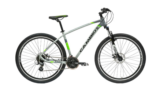 Bicicleta de montaña