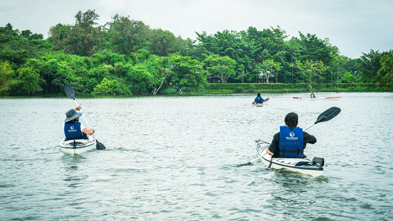 People kayaking on a lake with trees in the background