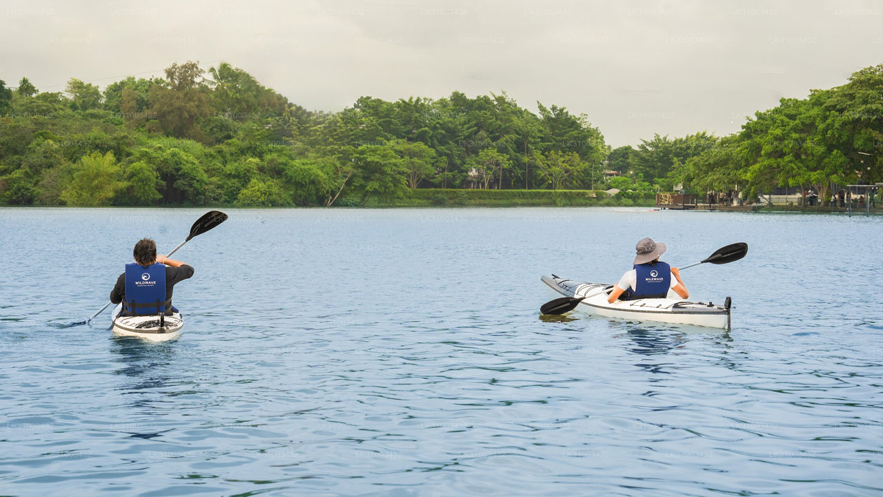 Two people kayaking on a calm lake with trees in the background