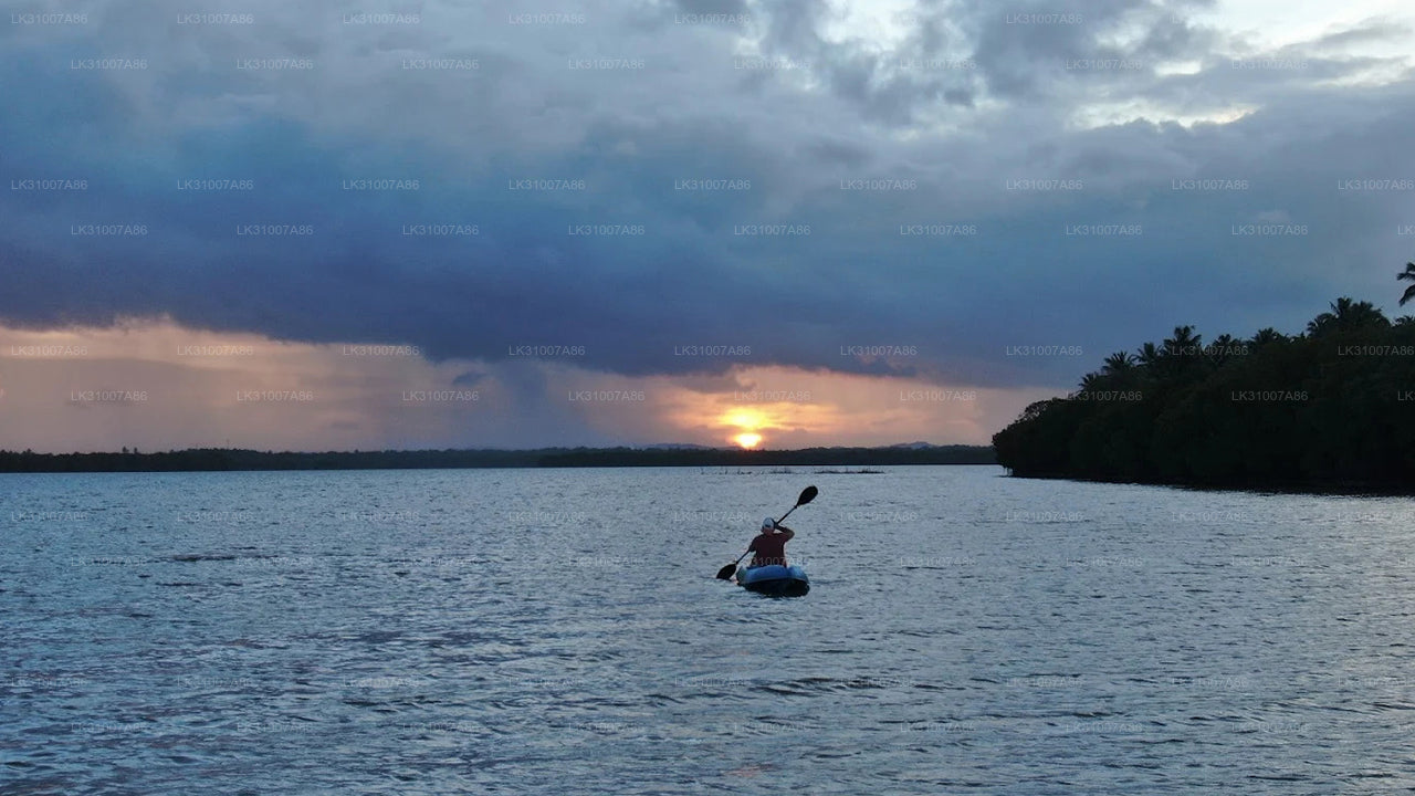 Excursión en kayak por la laguna desde Negombo