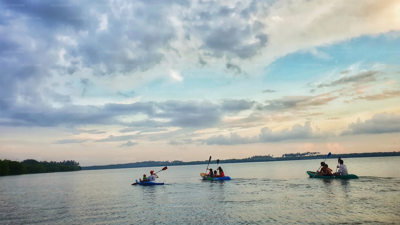 Excursión en kayak por la laguna desde Negombo