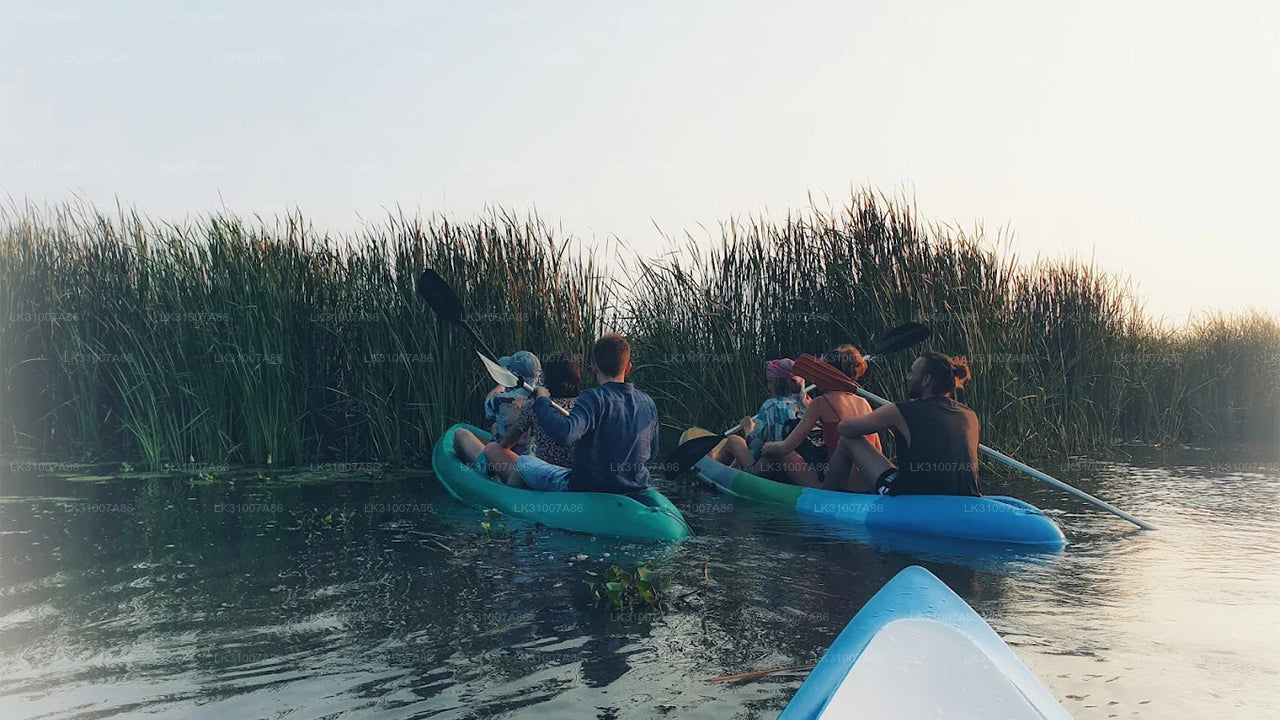 Excursión en kayak por la laguna desde Negombo