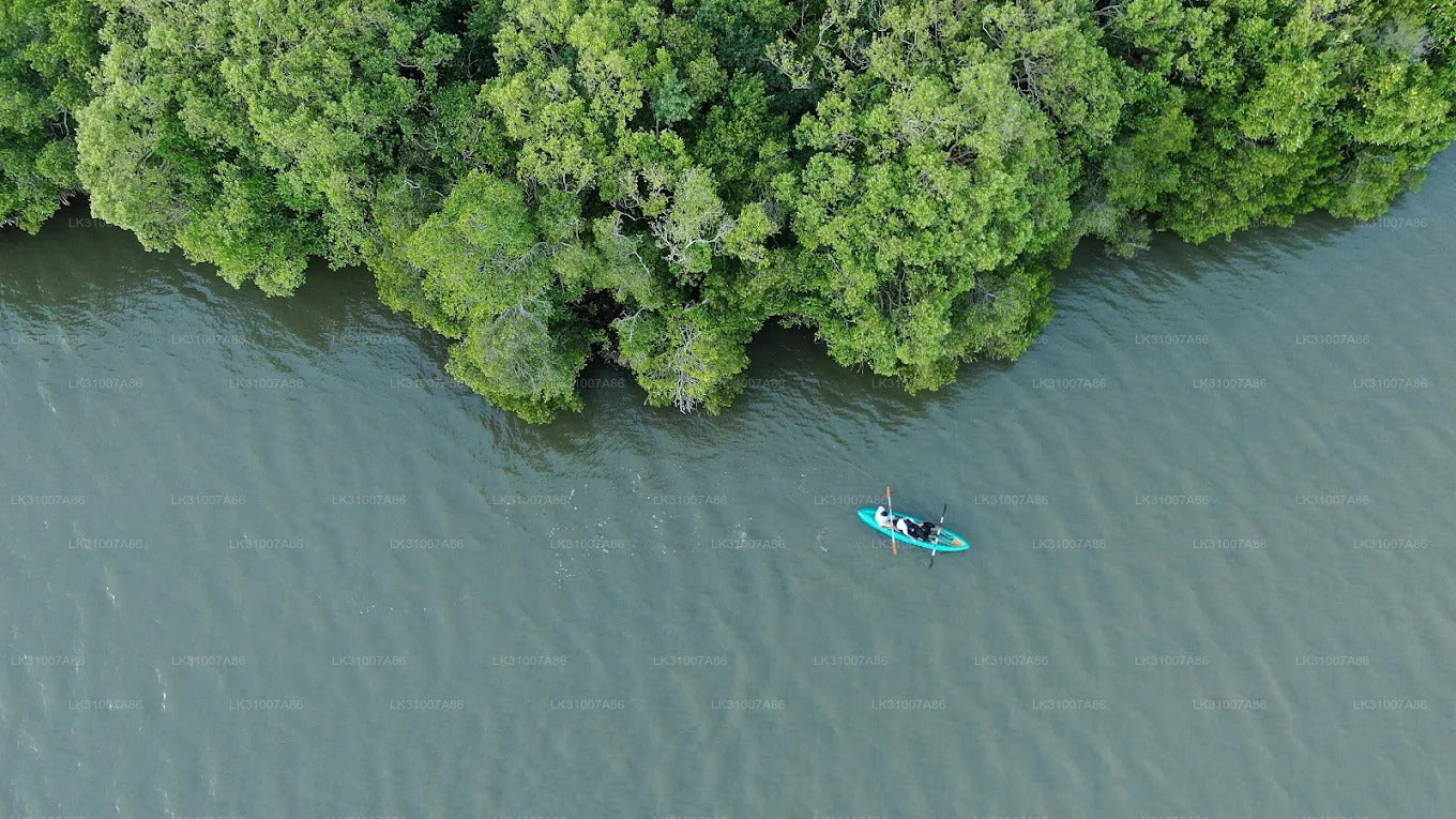 Excursión en kayak por la laguna desde Negombo
