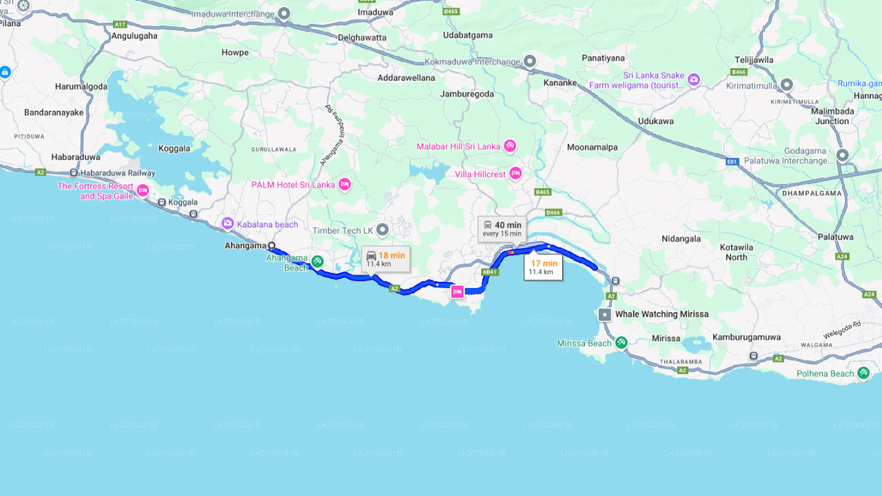 Avistamiento de ballenas desde Ahangama en barco compartido