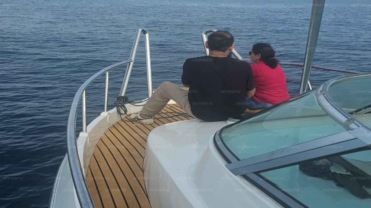 Excursión privada de avistamiento de ballenas en lancha rápida de lujo desde Mirissa