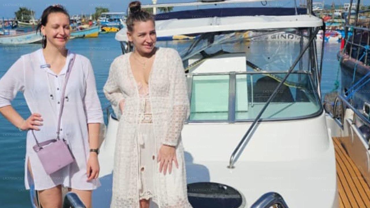 Excursión privada de avistamiento de ballenas en lancha rápida de lujo desde Mirissa