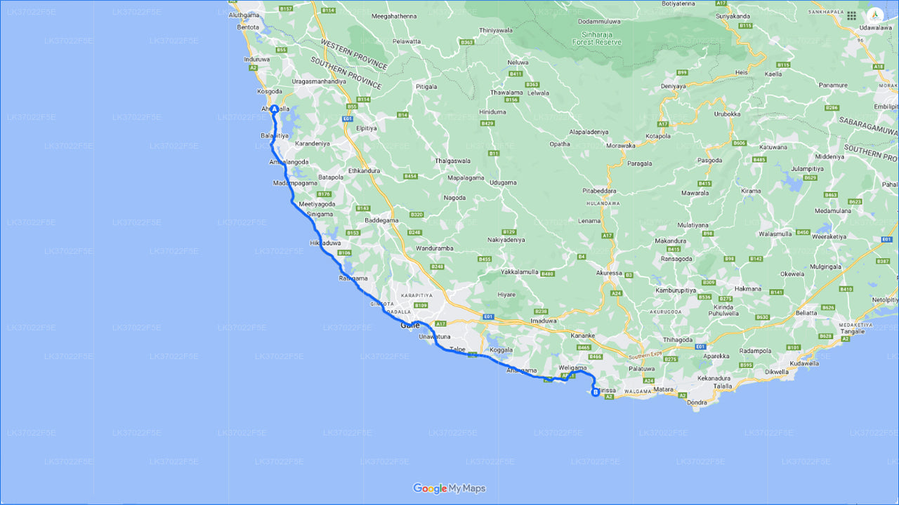 Avistamiento de ballenas desde Ahungalla en barco compartido