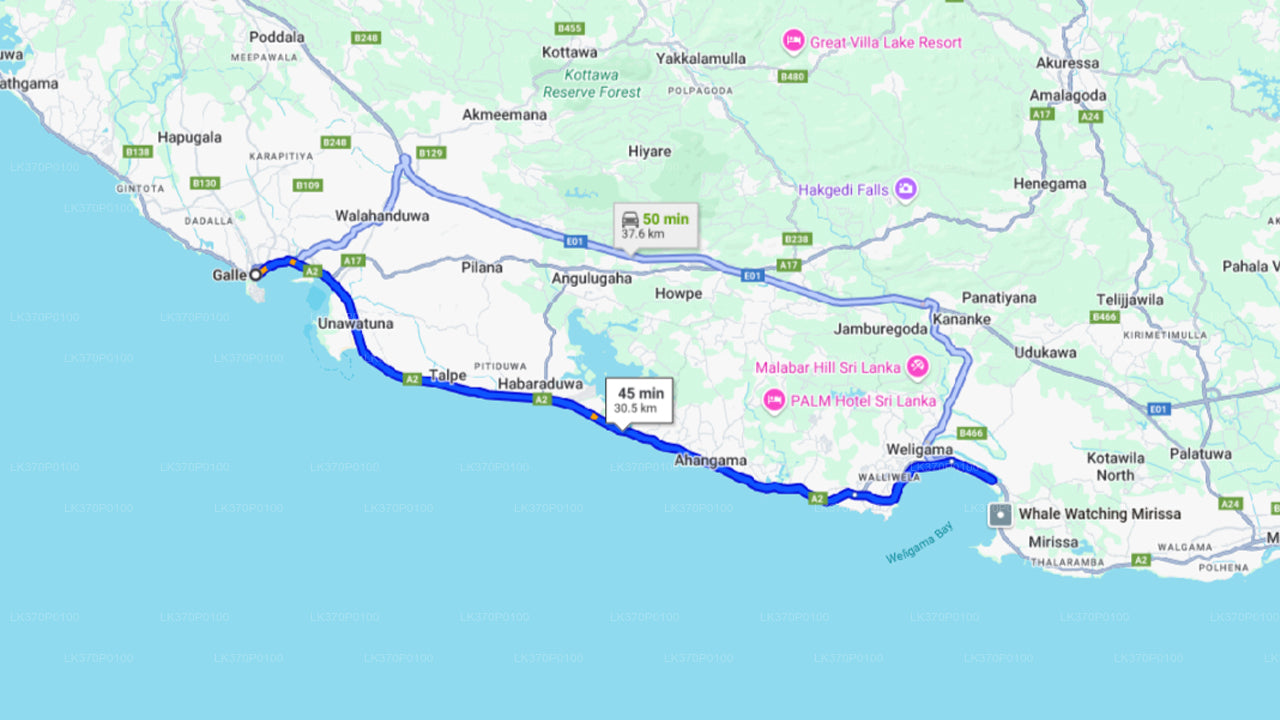 Avistamiento de ballenas desde Hiriketiya en barco compartido